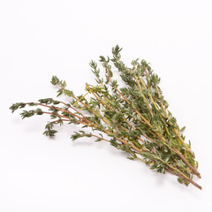Sprig of Thyme