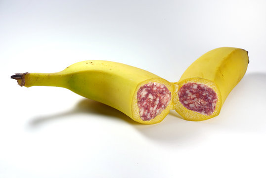 Balami