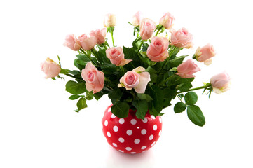 Pink roses