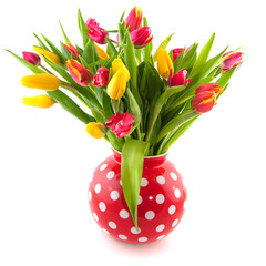 colorful tulips in red vase