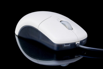 A computer mouse on a black background