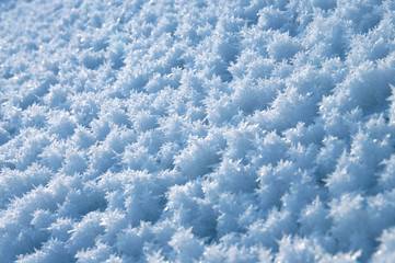 Crystal pattern of frost.