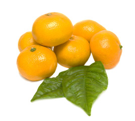 Tangerines