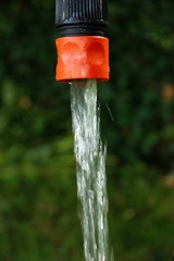IMG_1330_wasser_schlauch.jpg