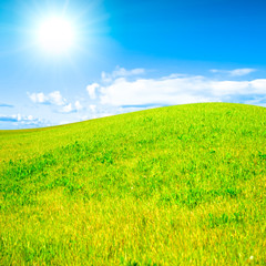 Fototapeta premium krajobraz pola