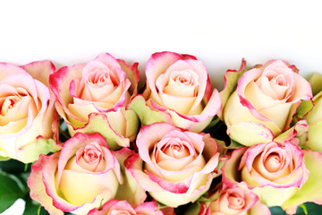 Fototapeta na wymiar bunch of roses