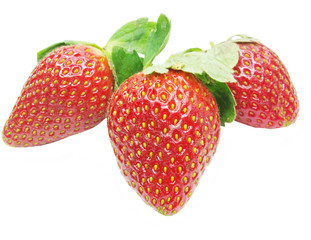 ripe strawberry