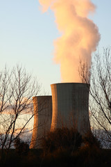 Central Nuclear