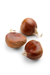 Three chestnut on white