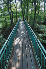kleine Brücke im Wald