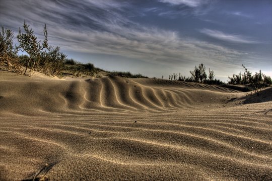 dunes