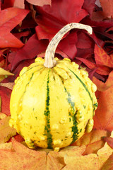 Decorative gourd