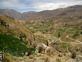 Colca Canyon in Peru
