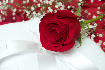 Red Rose on White Pillow