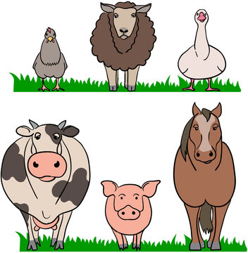 farm animals chicken sheep gooae cow pig horse