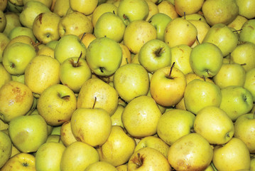apple