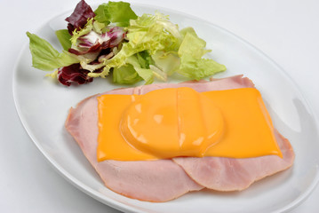 hawaii  toast with organic cheese on a plate