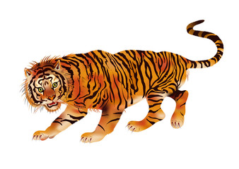 walking tiger - vector