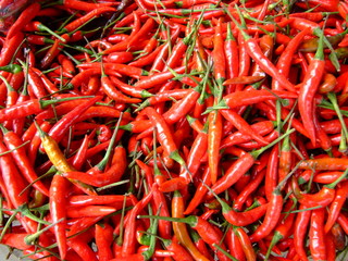 Red chili peppers, Thailand.