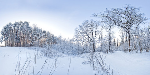 Winter landscape