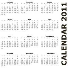 Calendar 2011 vector illustration