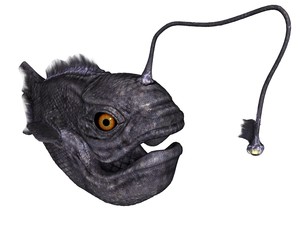 Creature from the deep ocean © Wampa
