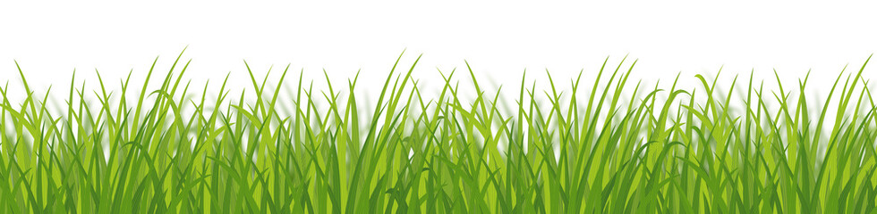 Green grass dense