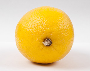 Yellow lemon on white background