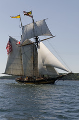 Tall Ship Bounty in Halifax 2009