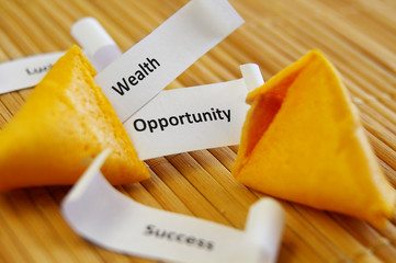 closeup of a fortune cookie with Success, etc messages