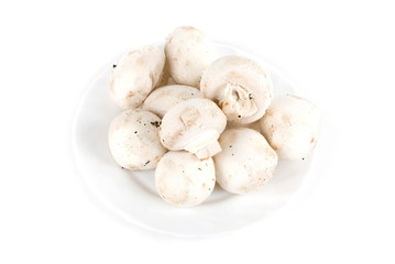 champignon