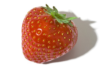 fraise_2164