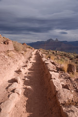 Grand Canyon Treeking