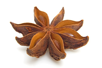 star anise in closeup over white background