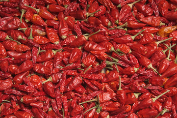 chili schoten getrocknet