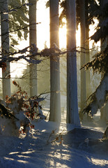 Frostige Zeiten