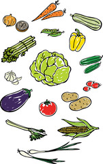 colorful vegetables