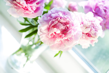 Vase of peony blooms in window