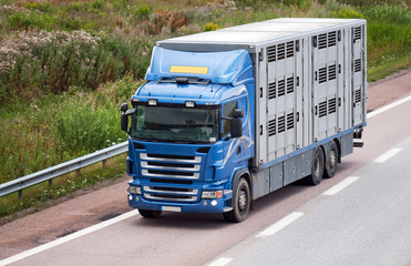 Animal transport leaving the highway.