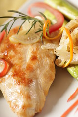 Closeup of grilled chicken breast
