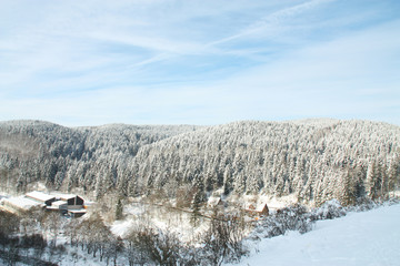 Harz im Schnee