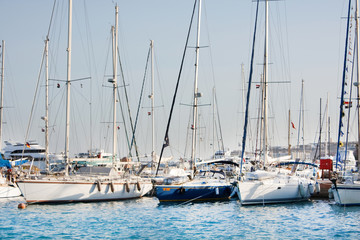 Fototapeta premium yachts in marina.