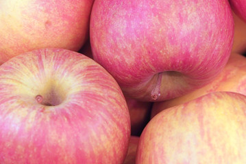 Mele (Malus Communis)