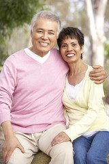 Obraz premium Portrait Of Senior Couple In Park