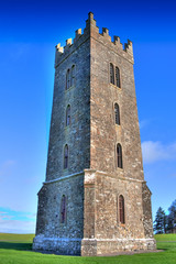 Carton House Tower
