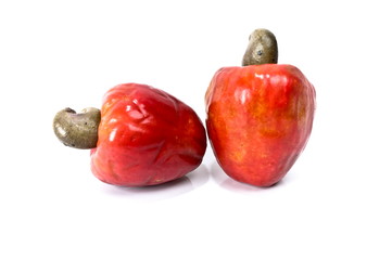 Cashew Fruit
