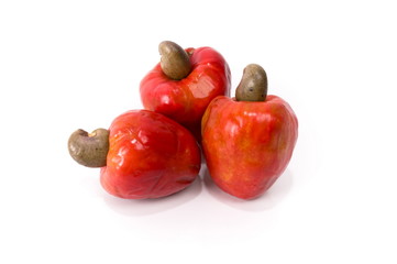 Cashew Fruit