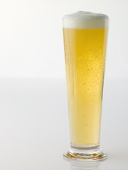Glass Of Beer