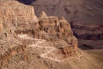 Grand Canyon Treeking