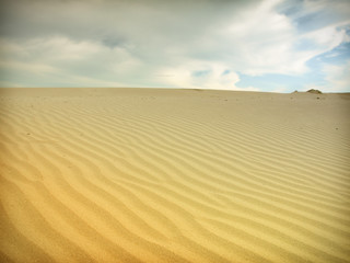 Fototapeta na wymiar Sand dunes in Thar desert